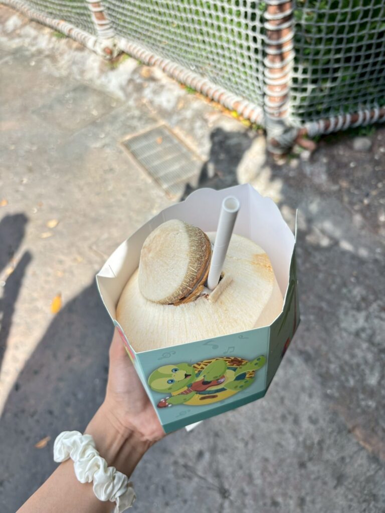 上海ディズニーランドで買ったココナッツジュース